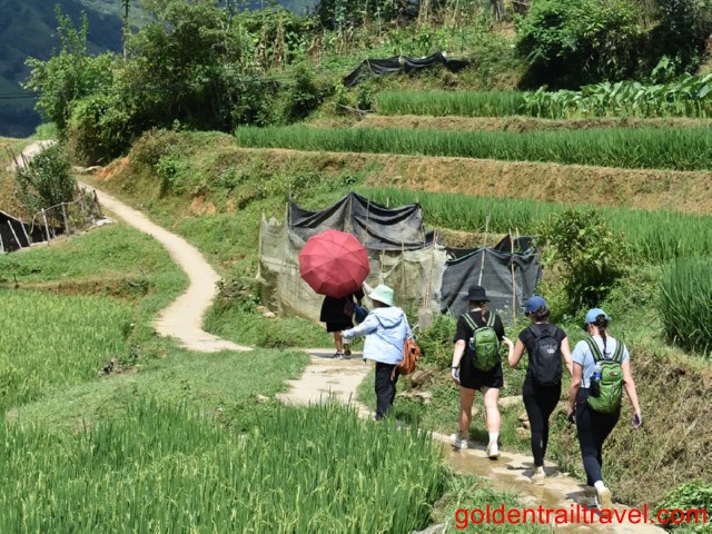 Sapa Trek 1 Day Trip